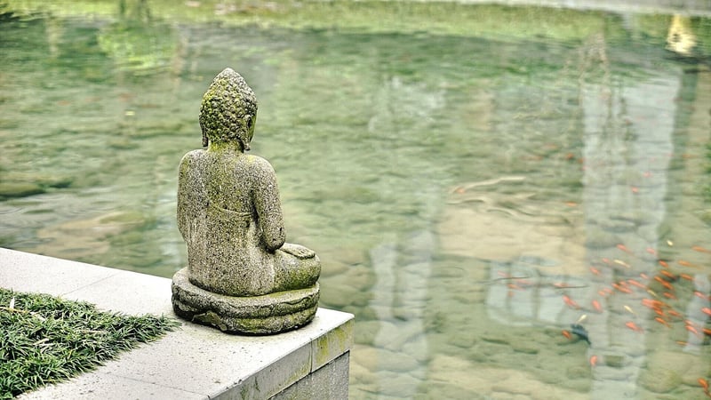 Mindfulness